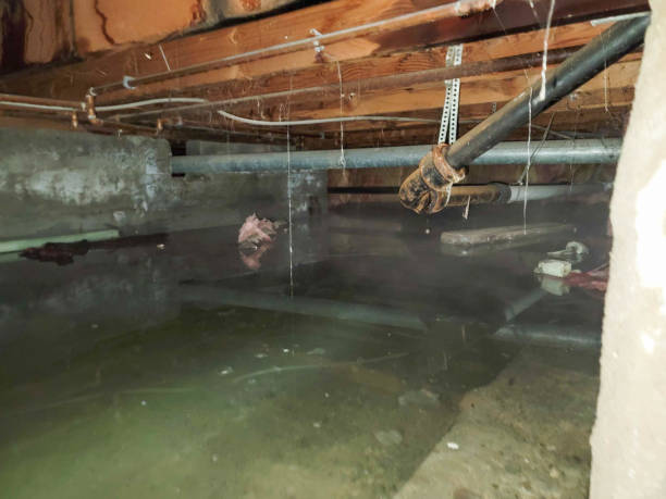 Best Water damage restoration near me  in Bound Brook, NJ