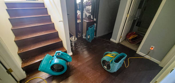 Best Professional water damage repair  in Bound Brook, NJ